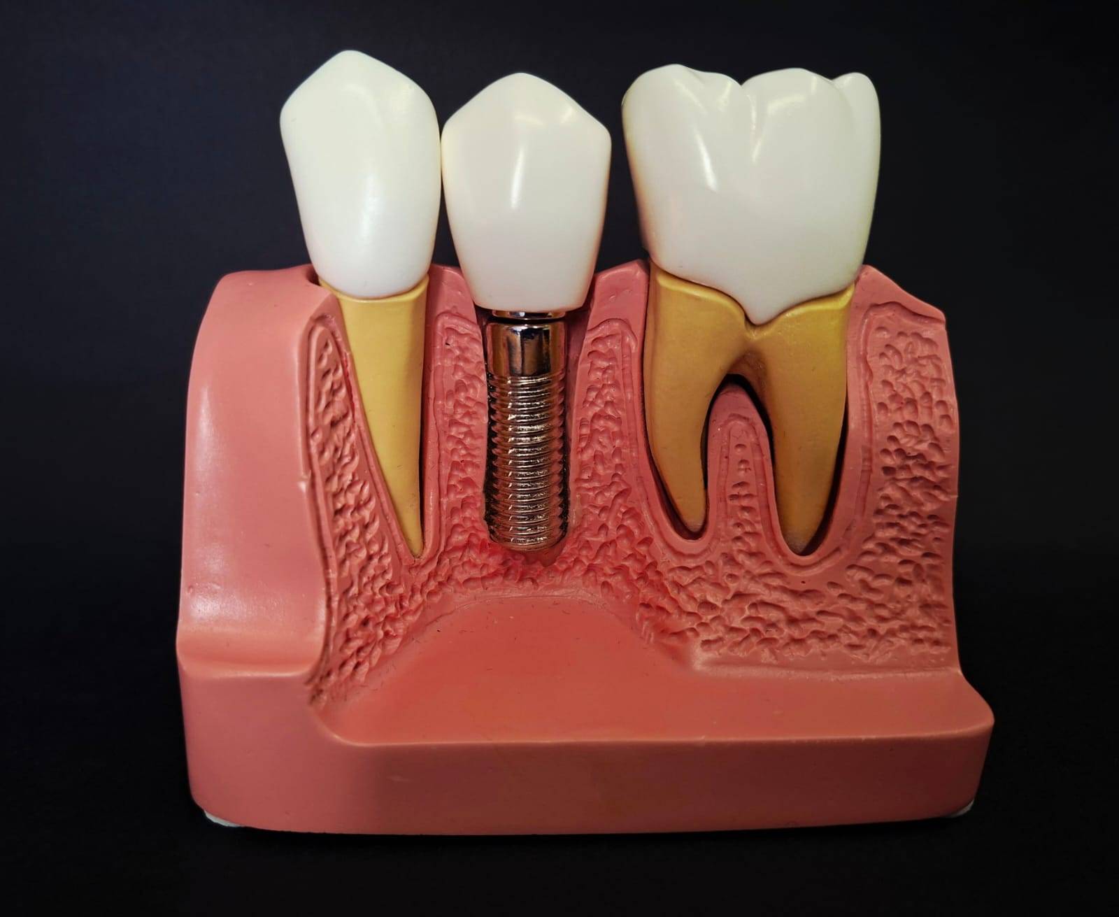 WhatsApp Image 2026-02-21 at 19.27.15