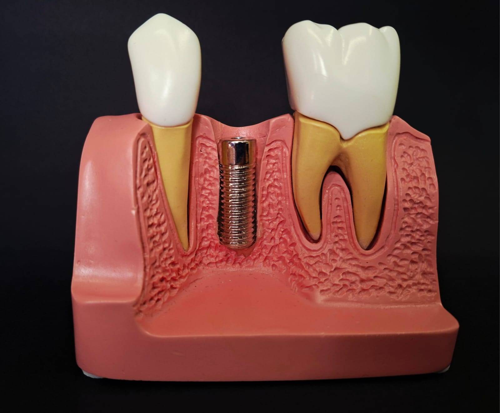 WhatsApp Image 2026-02-21 at 19.27.12